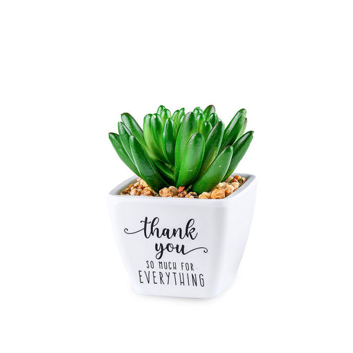 Picture of SENTIMENT SUCCULENTS THANK YOU